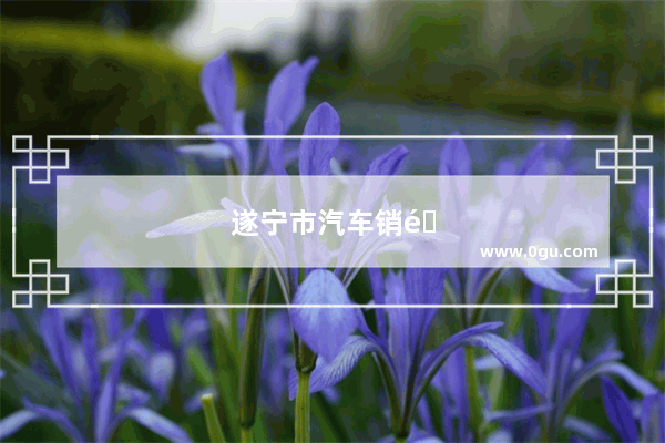 遂宁市汽车销量排行榜最新