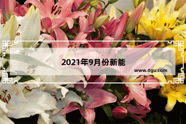 2021年9月份新能源车销量排行榜