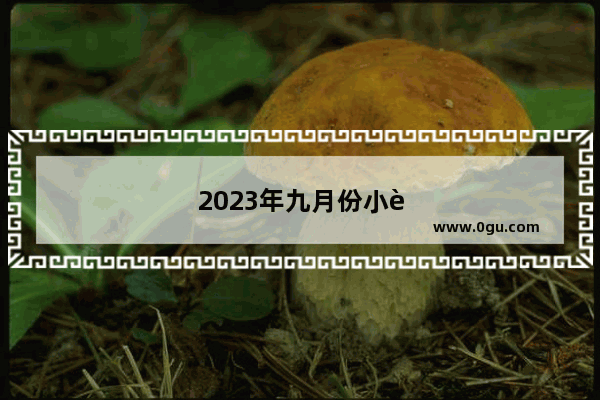 2023年九月份小车销量排行榜