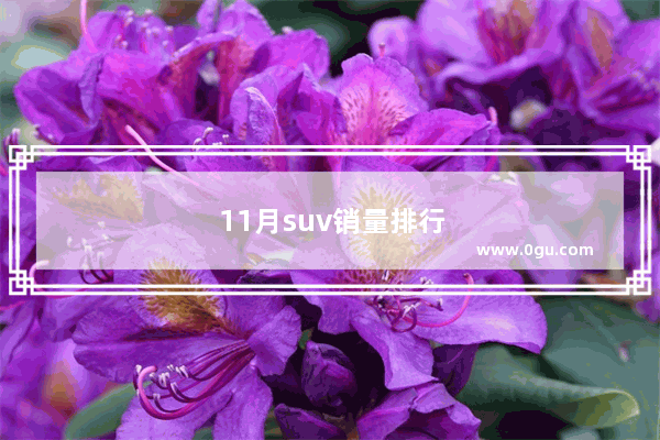 11月suv销量排行完整榜