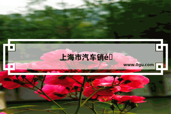 上海市汽车销量排行榜