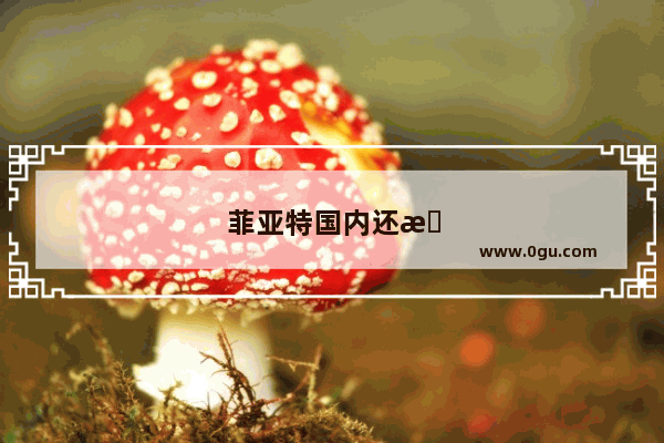 菲亚特国内还有卖吗