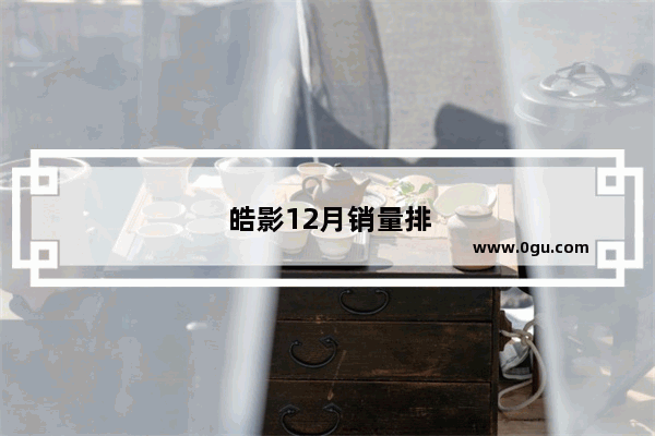 皓影12月销量排行榜