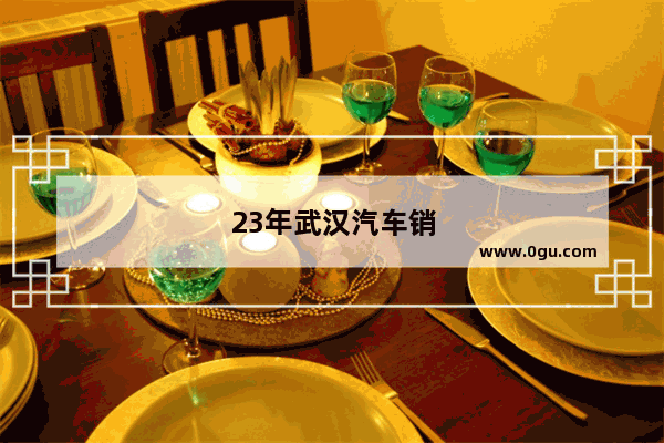23年武汉汽车销量排行