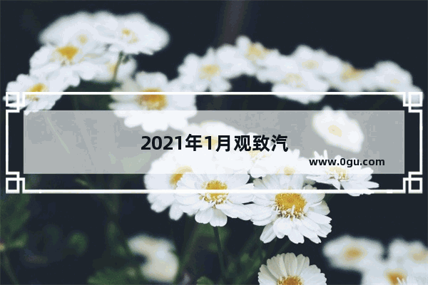 2021年1月观致汽车销量