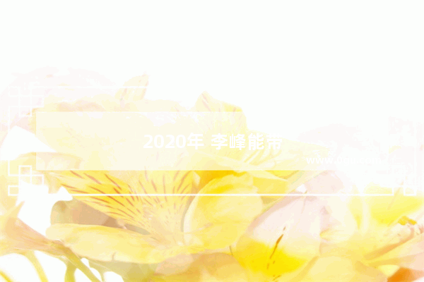 2020年 李峰能带领起亚走出困境吗