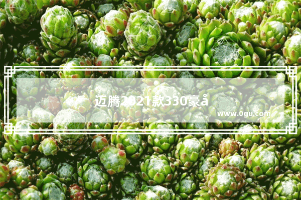 迈腾2021款330豪华7月销量