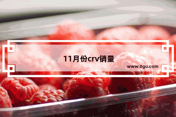 11月份crv销量