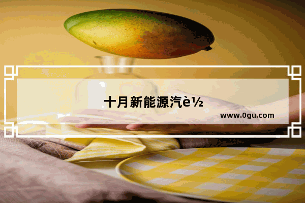 十月新能源汽车销量排行