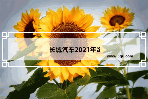 长城汽车2021年二月份的销量