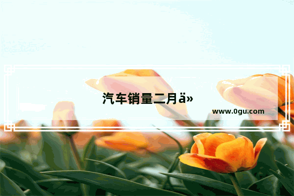 汽车销量二月份