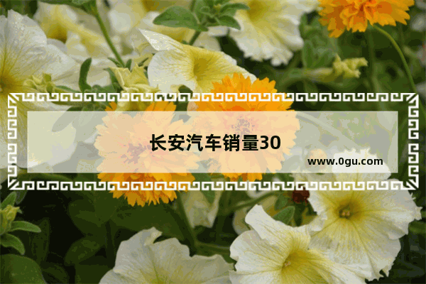 长安汽车销量30万怎么算的