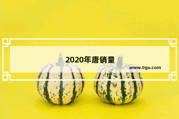 2020年唐销量