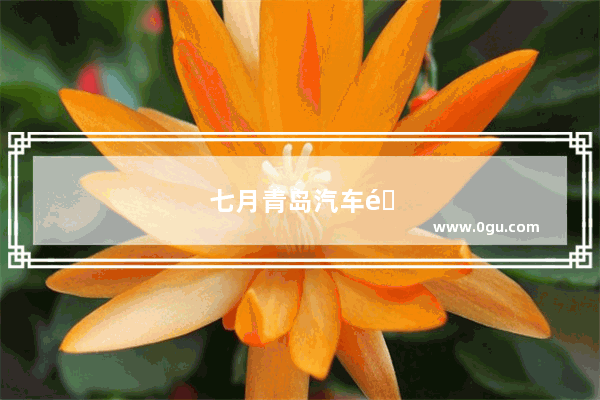 七月青岛汽车销量数据查询