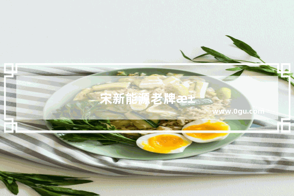 宋新能源老牌汽车销量排名第几