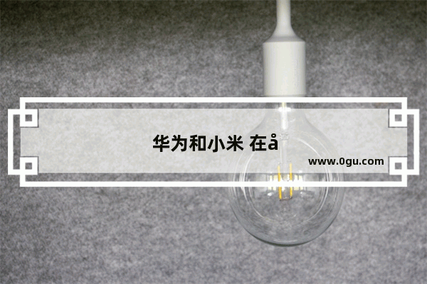 华为和小米 在国外的手机市场销量如何