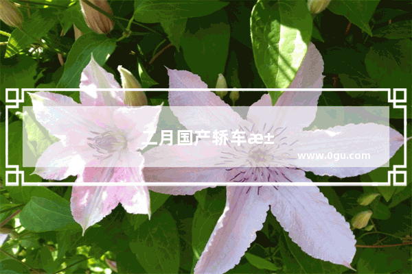 二月国产轿车汽车销量