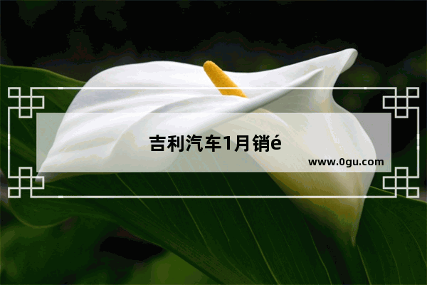 吉利汽车1月销量