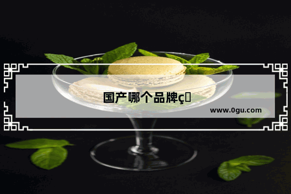 国产哪个品牌的模型好一些