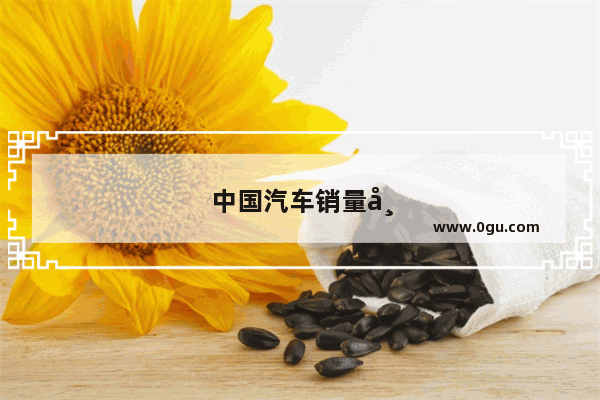 中国汽车销量市值排名