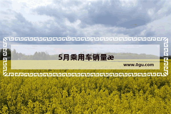 5月乘用车销量排行榜