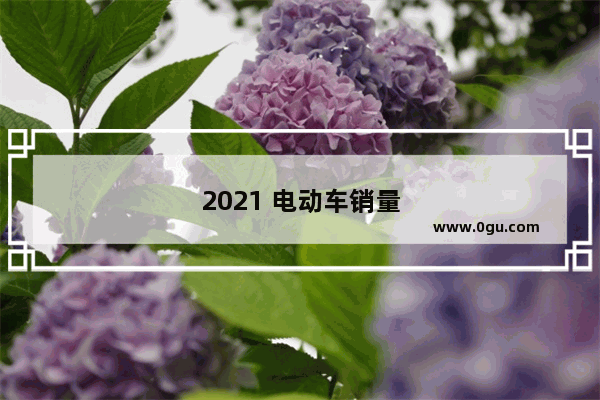 2021 电动车销量