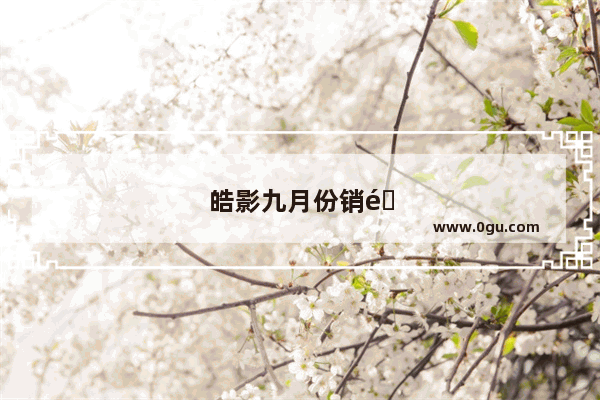 皓影九月份销量