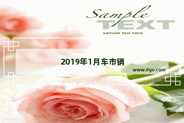 2019年1月车市销量跌幅达17.71% 今年车市还能乐观吗
