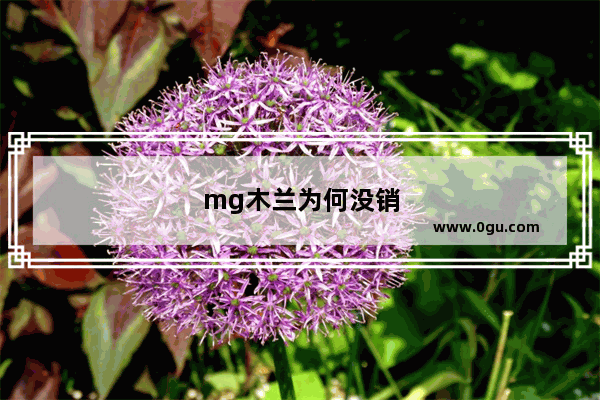 mg木兰为何没销量
