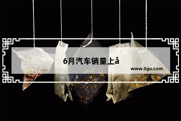 6月汽车销量上升了多少
