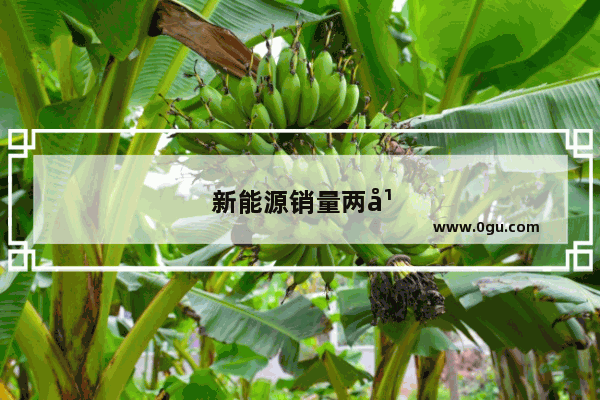 新能源销量两年要翻26倍 吉利的新能源梦如何实现