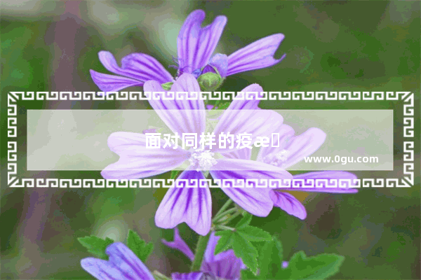 面对同样的疫情影响 汽车销量谁会逆流而上