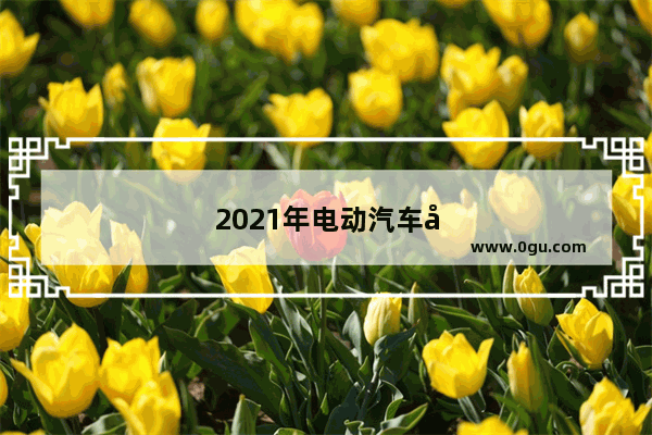 2021年电动汽车公司销量