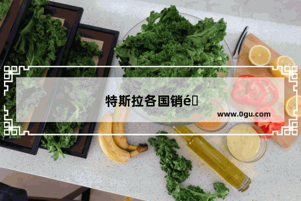 特斯拉各国销量