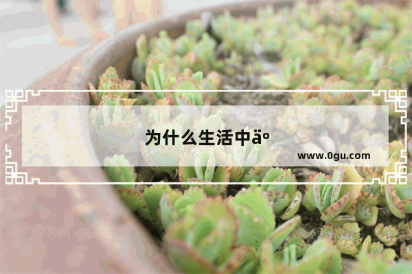 为什么生活中人们 买车 买手机 高配的销量比例比较高