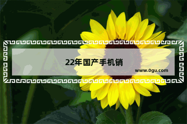 22年国产手机销量排行