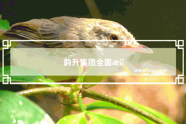 韵升集团全国排名