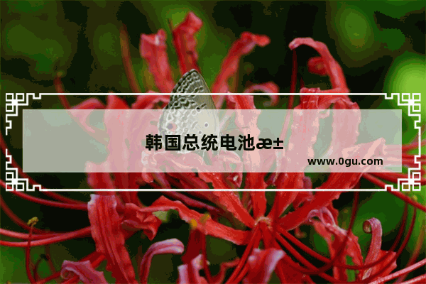 韩国总统电池汽车销量