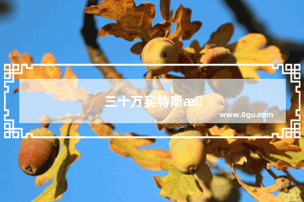 三十万买特斯拉还是油车
