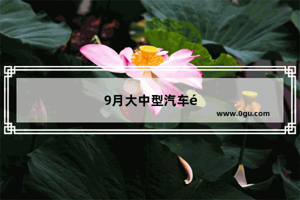 9月大中型汽车销量数据统计