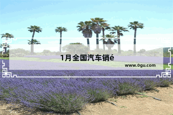 1月全国汽车销量suv