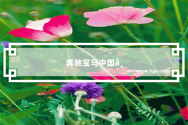 奔驰宝马中国市场销量