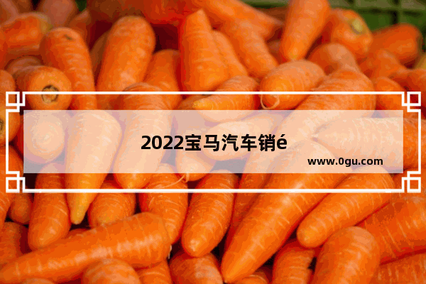 2022宝马汽车销量总量多少