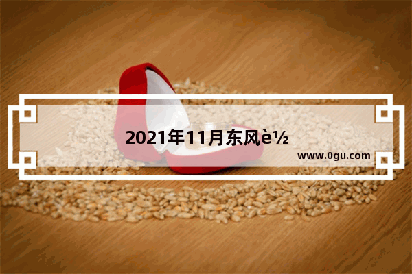 2021年11月东风轻卡销量排行