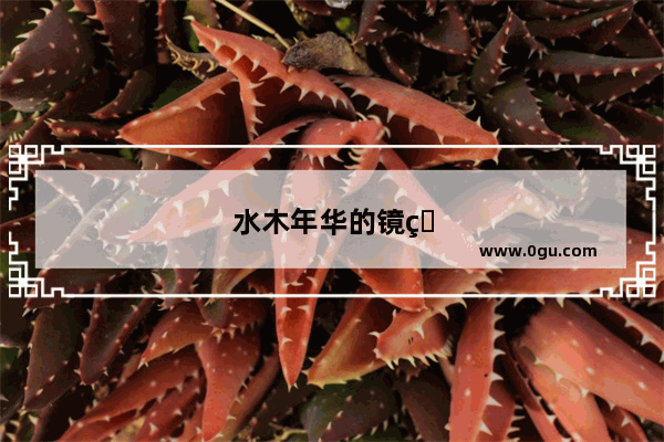 水木年华的镜片和阿波罗镜片哪个好一些