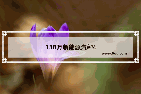 138万新能源汽车销量排名