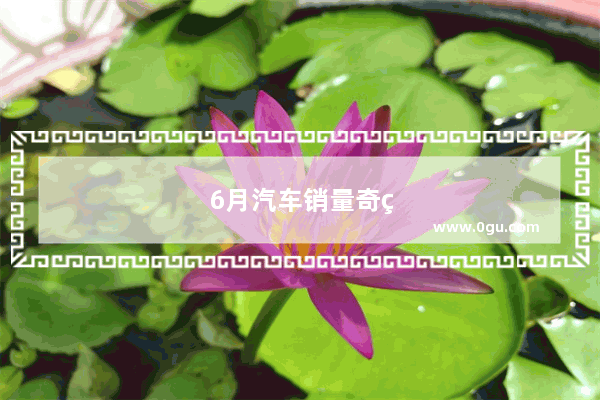 6月汽车销量奇瑞