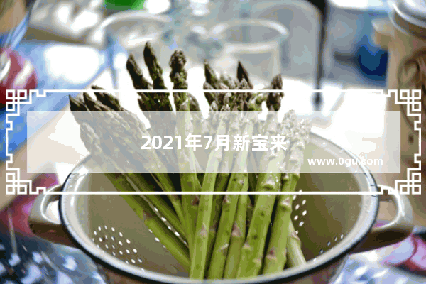 2021年7月新宝来销量