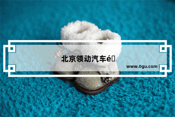 北京领动汽车销量好吗