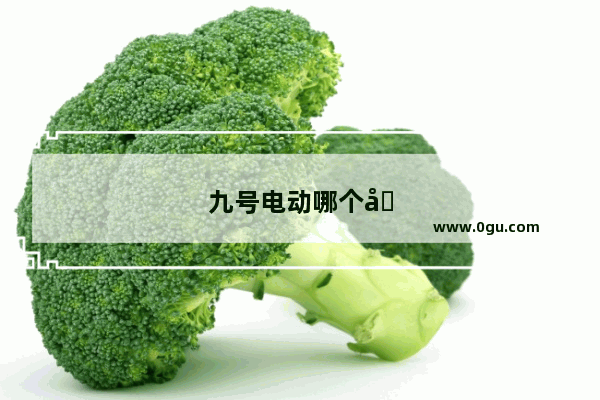 九号电动哪个城市数量最多